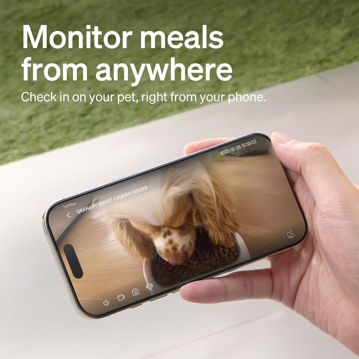 PETLIBRO Automatic Cat Feeder with 1080P HD Camera.